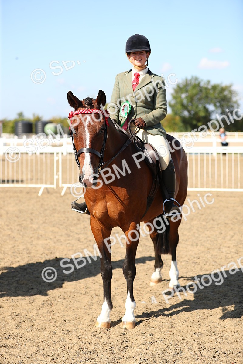 SBM_02388 - Class 43 Ridden Competition Horse/Pony