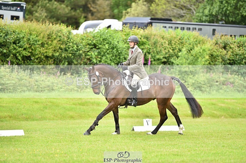 240523B-103646-01804 - 4 Year Old