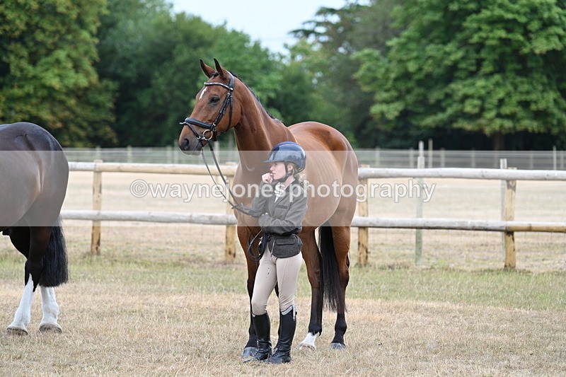 WJ7_0030 - Class 5a Most Handsome Gelding (above 14.2hh)