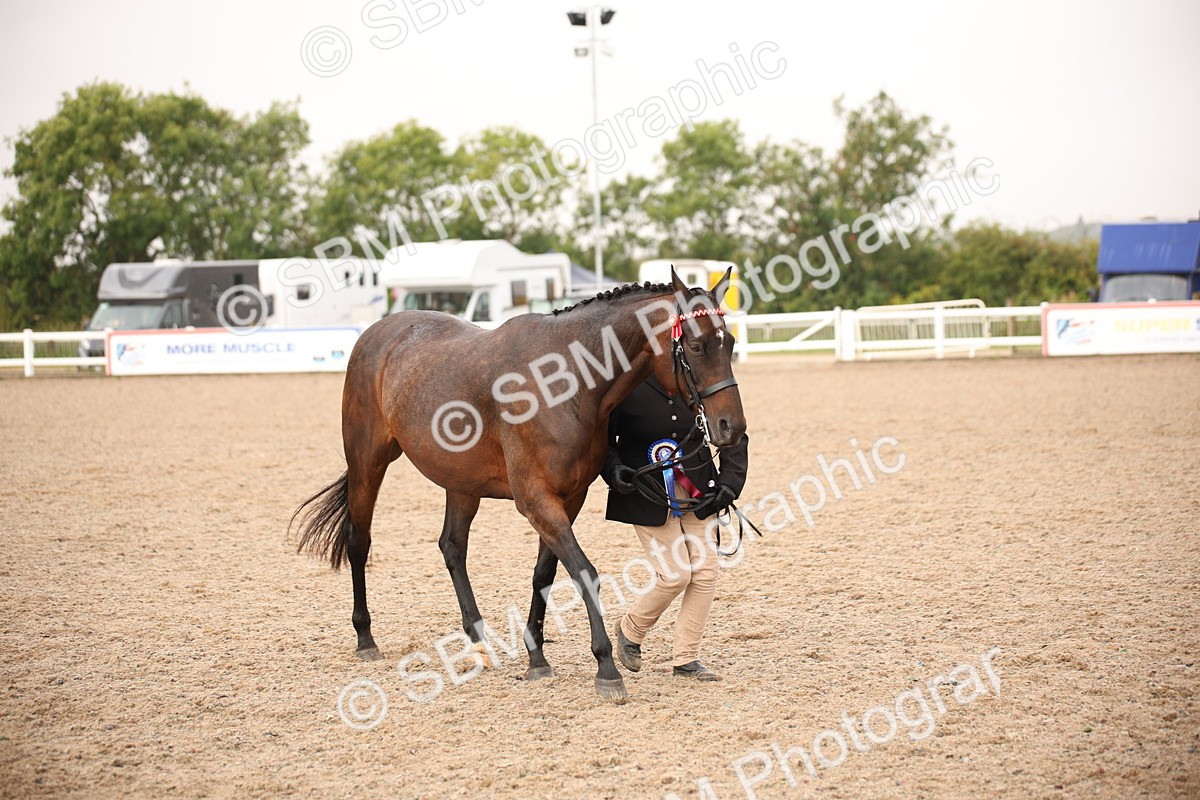 SBM_20745 - Class 705 - IH  Combination 65+