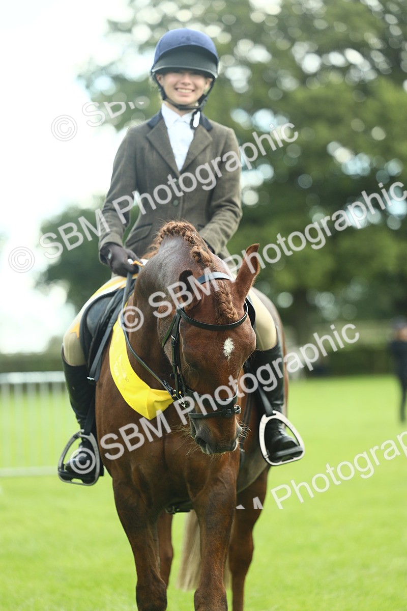 SBM_42194 - S29 - Novice & Newcomers Working Hunter Pony