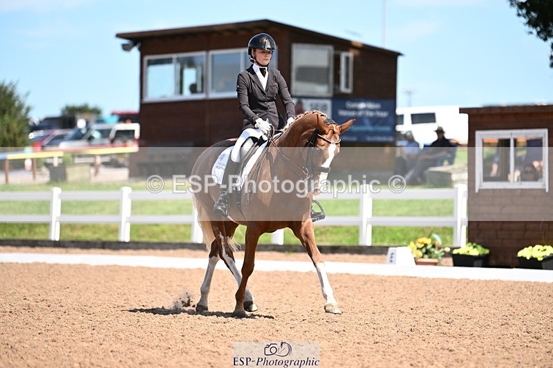 240816A-131543-05005 - 113-Ruby.Gumbley-Nova's.Golden.Dream