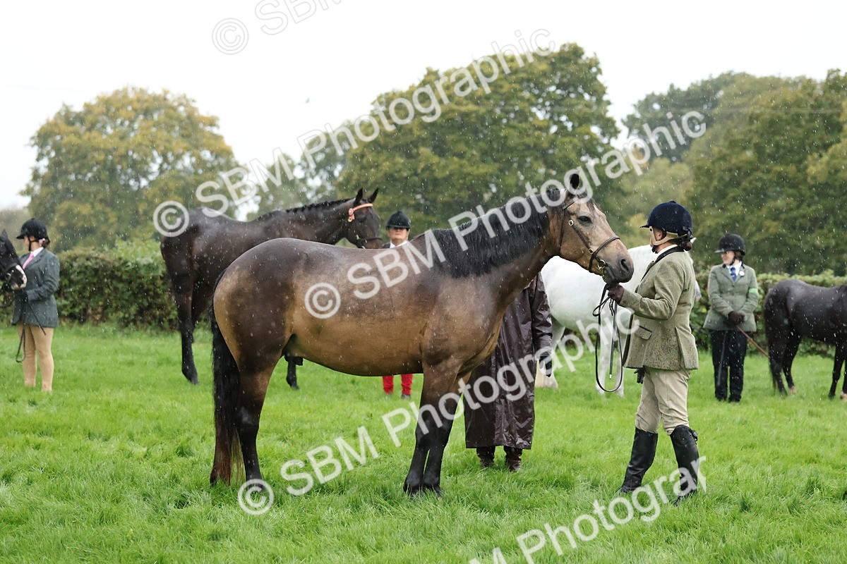 SBM_35326 - S10 - Best In Hand Horse & Pony