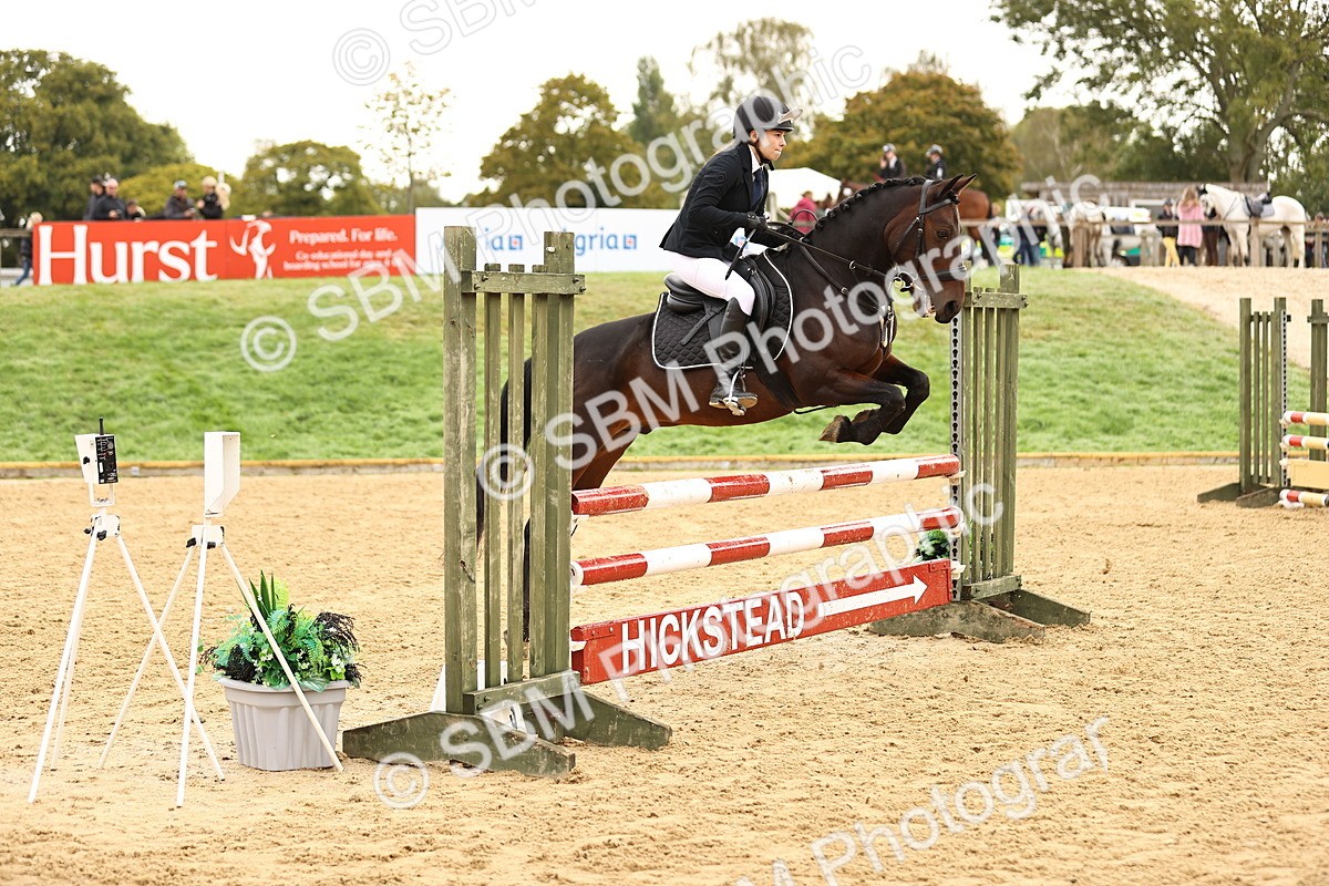 SBM_58282 - J41 - Grand Tour Horse & Pony 95cm