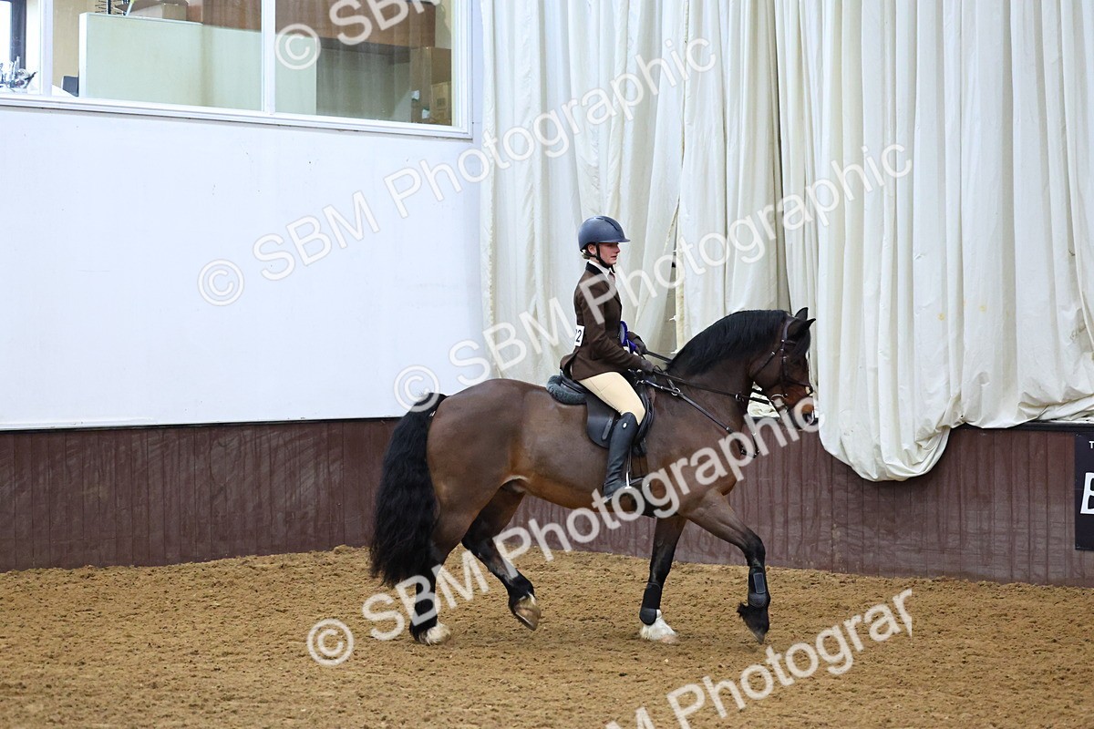 SBM_003706 - Class 37 - 80cm Training Stakes