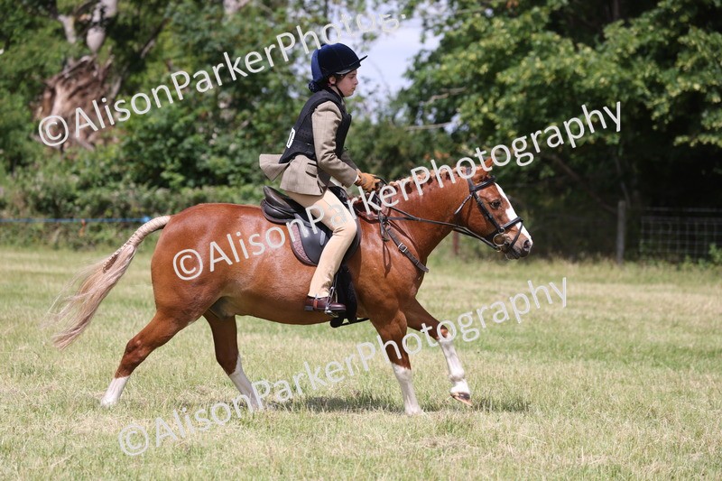 20260614-1944 - Class 21 - Novice Working Hunter Pony