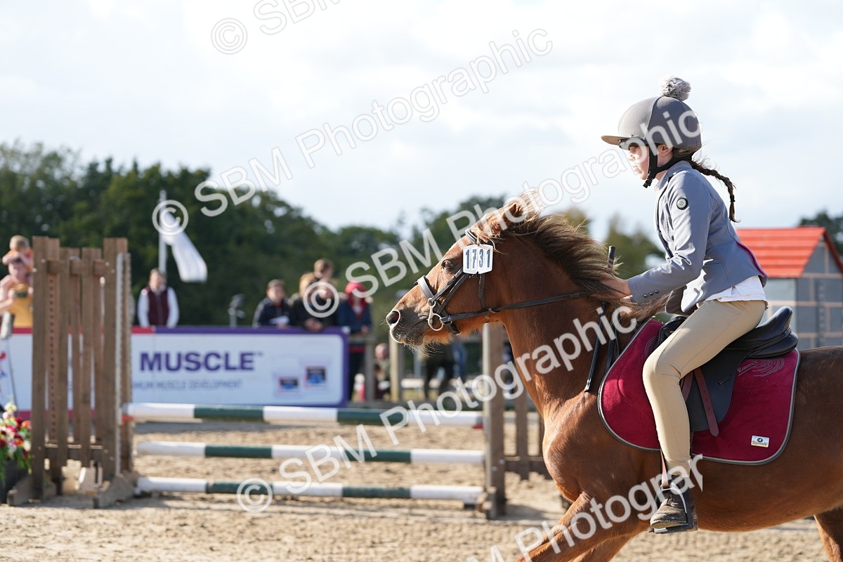 SBM_49446 - J8 - Junior Pony 65cm Championship