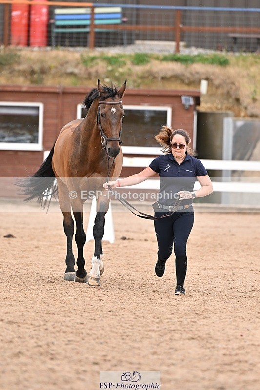 250716-160914-02460 - Trot Up 3.30 to 4.30