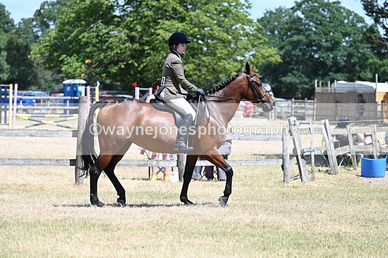 WJ7_2855 - Class 7 Riding Club Show Horse