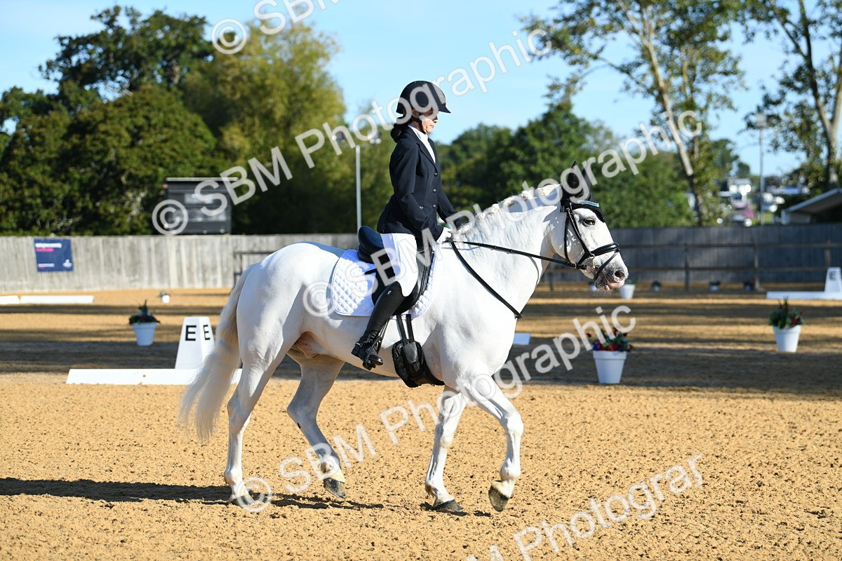 SBM_16107 - D4 - Small Tour Championship - Intro B