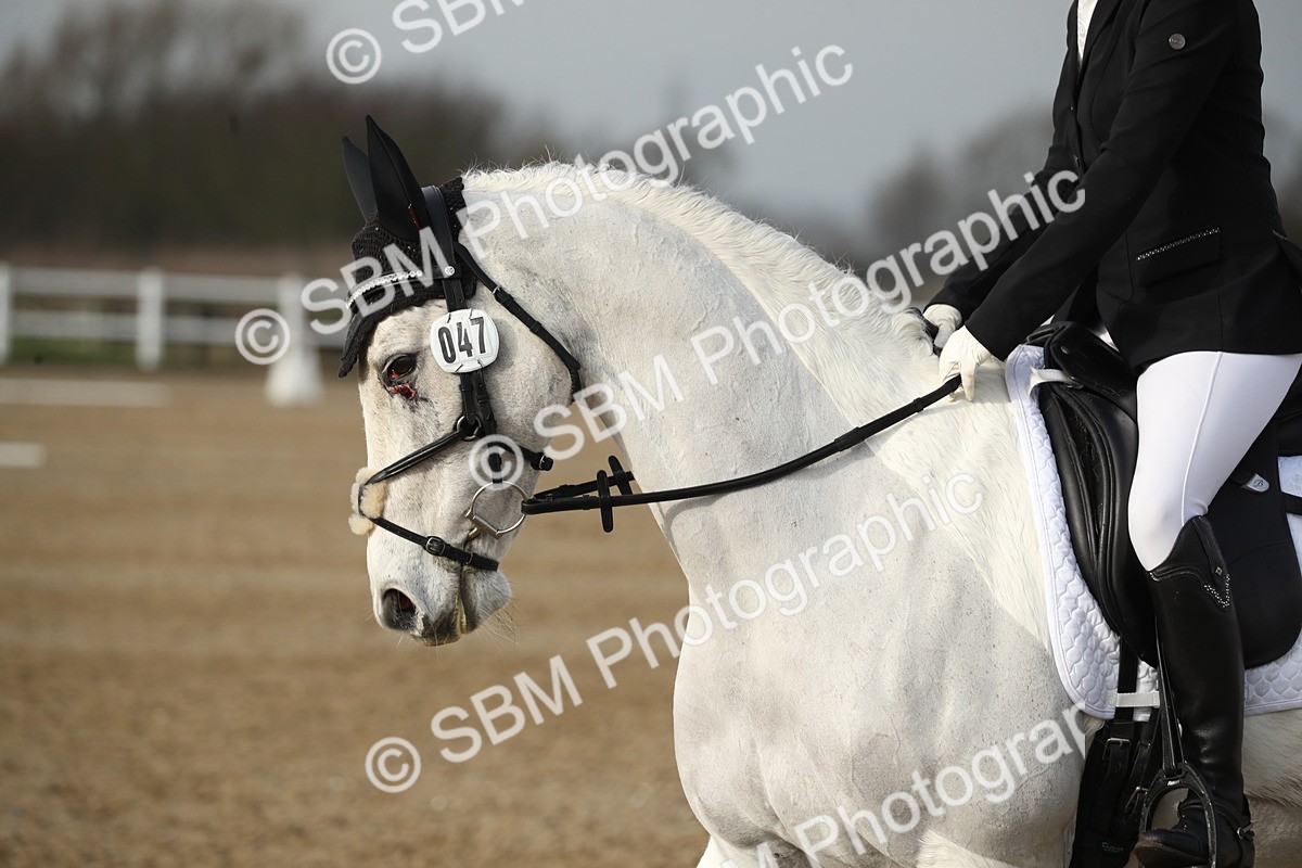 SBM_004559 - Novice 3
