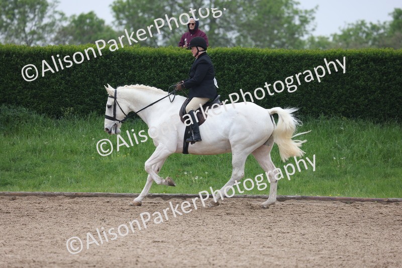 20260504-1126 - Class 14 - Cob and Hunter