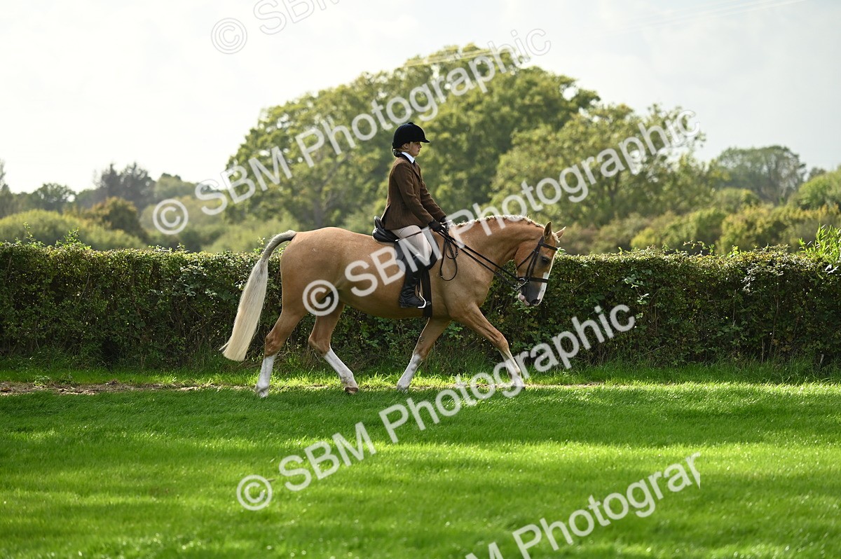 SBM_26302 - S6 - Novice & newcomer Ridden horse