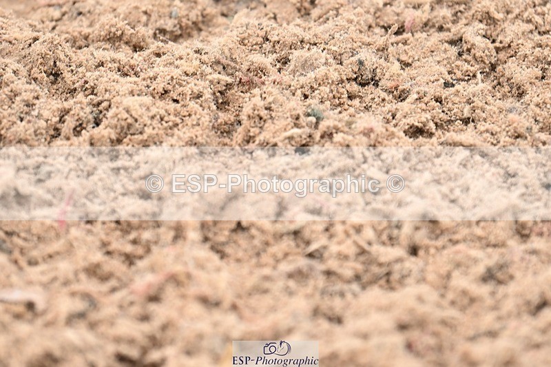 250424-151017-05854 - Cls 45 Ponies - Major Tour