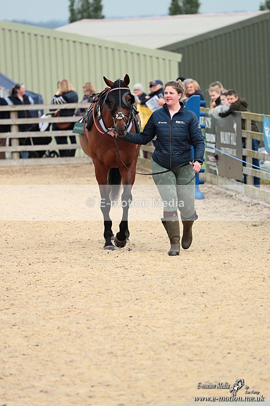 PtP 040526 419 - Mollington Point-to-Point 04/05/26