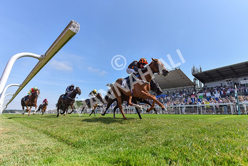 140726-Race 2-What A Tahoo-2892 - Race 2 14.47pm Young Guns Handicap