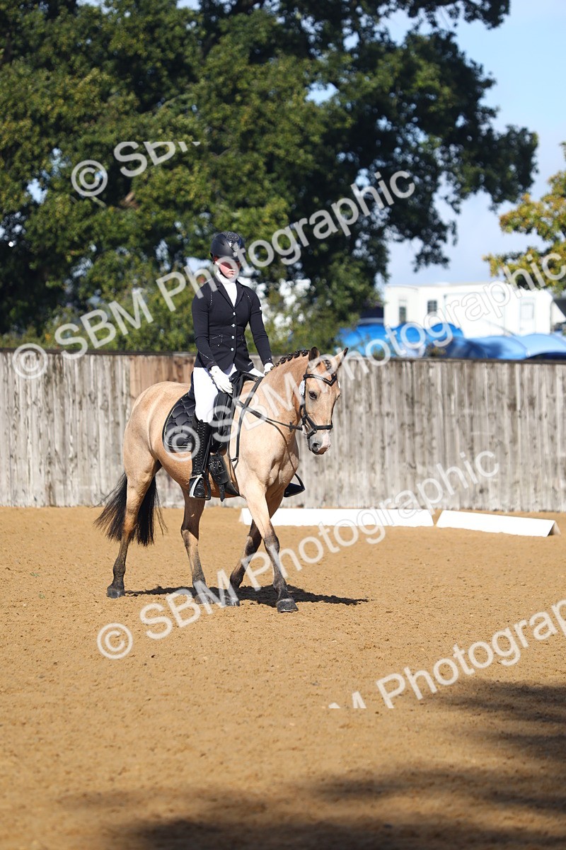 SBM_38978 - D21 - Junior Championship Intro 1