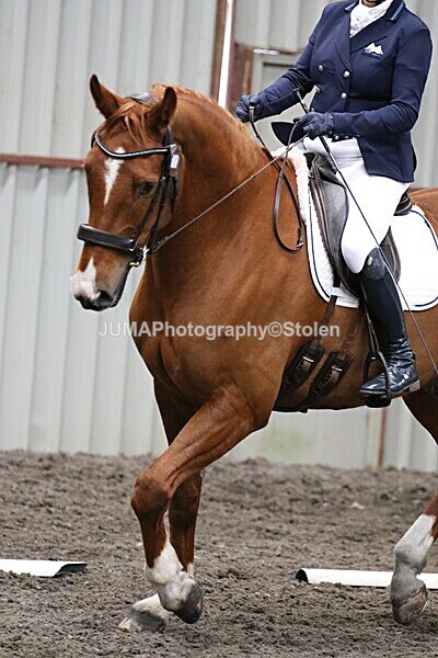 SIAL4335 - GDG saturday 3rd May