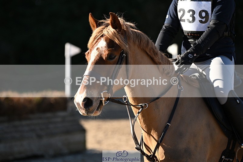 250302A-095346-01351 - Cls 01 70-75cm