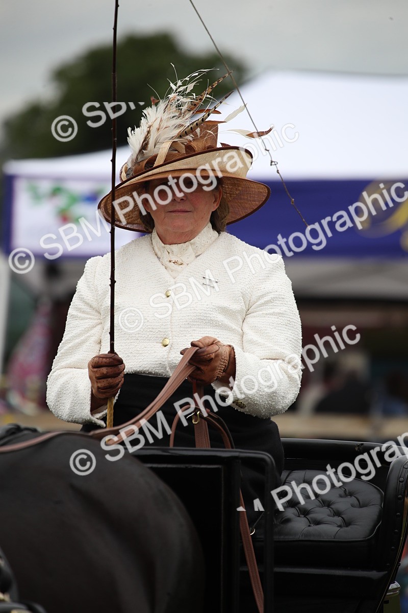 SBM_05774 - Class 12-15 - HOYS Private Driving