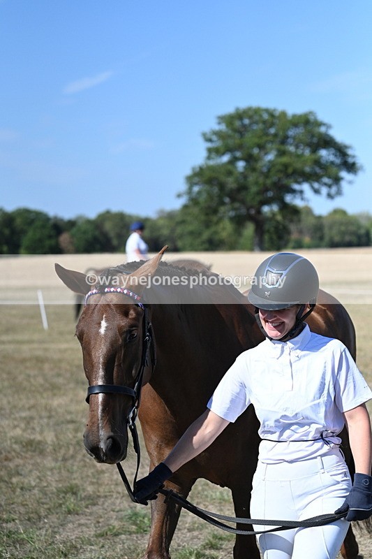 WJ7_1508 - Class 42 Most Handsome Gelding