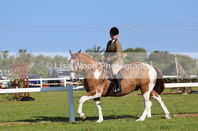 IMG_1433 - Class 29:  Ridden Native/Trad Coloured Horse