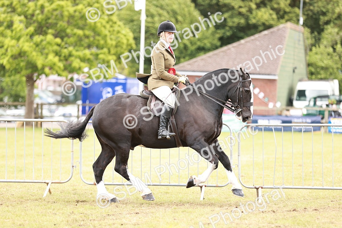 SBM_14095 - Class 85-87 - RIHS Cobs