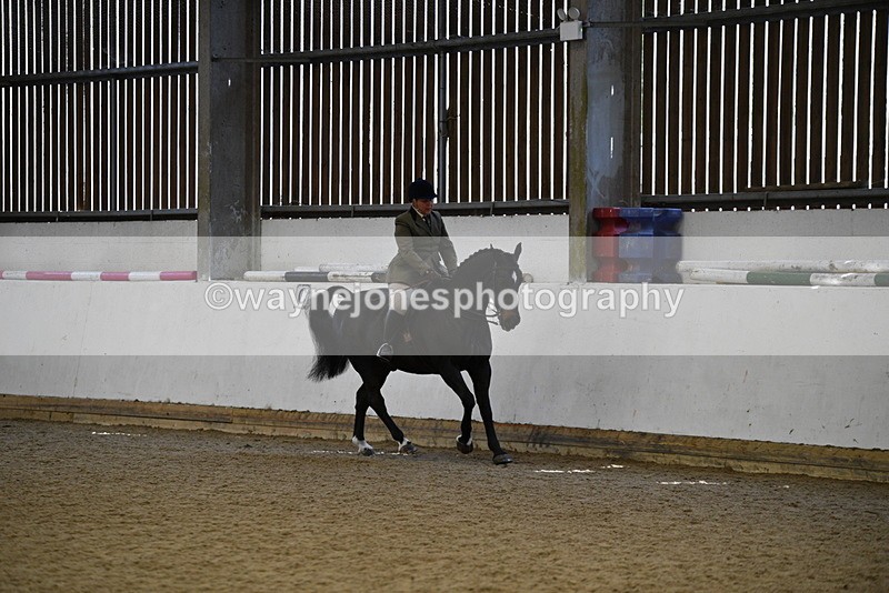 WJ5_5992 - Class 9 Ridden Veteran