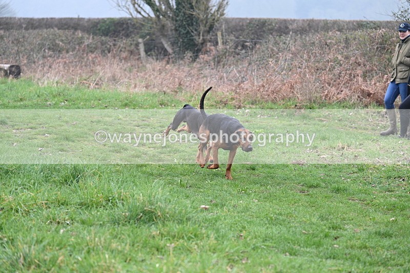 WJ7_0288 - Line 2 cam A