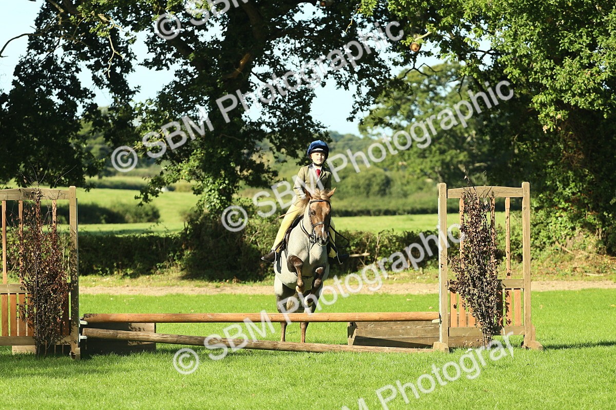 SBM_36444 - S29 - Novice & Newcomers Working Hunter Pony