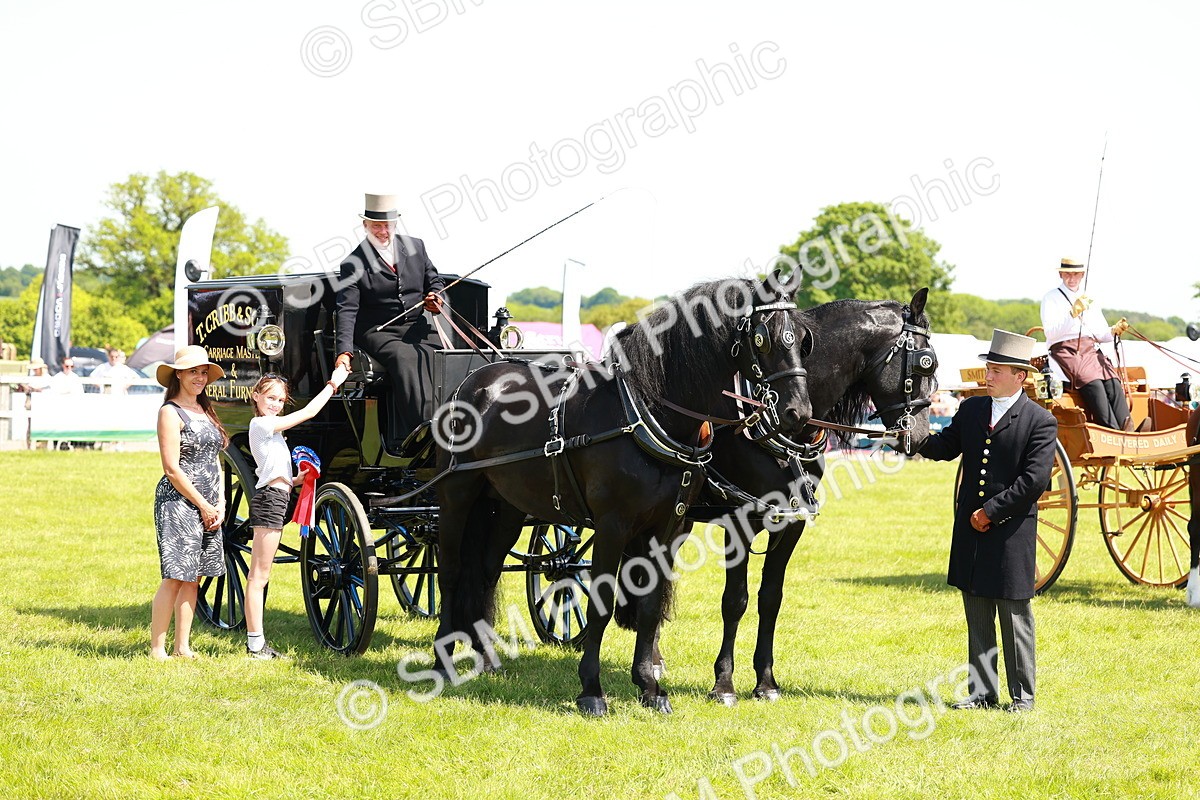 SBM_06690