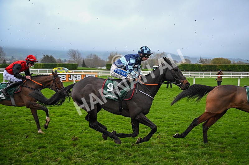 151125-Race 6-Kap Boy-4134 - Race 6