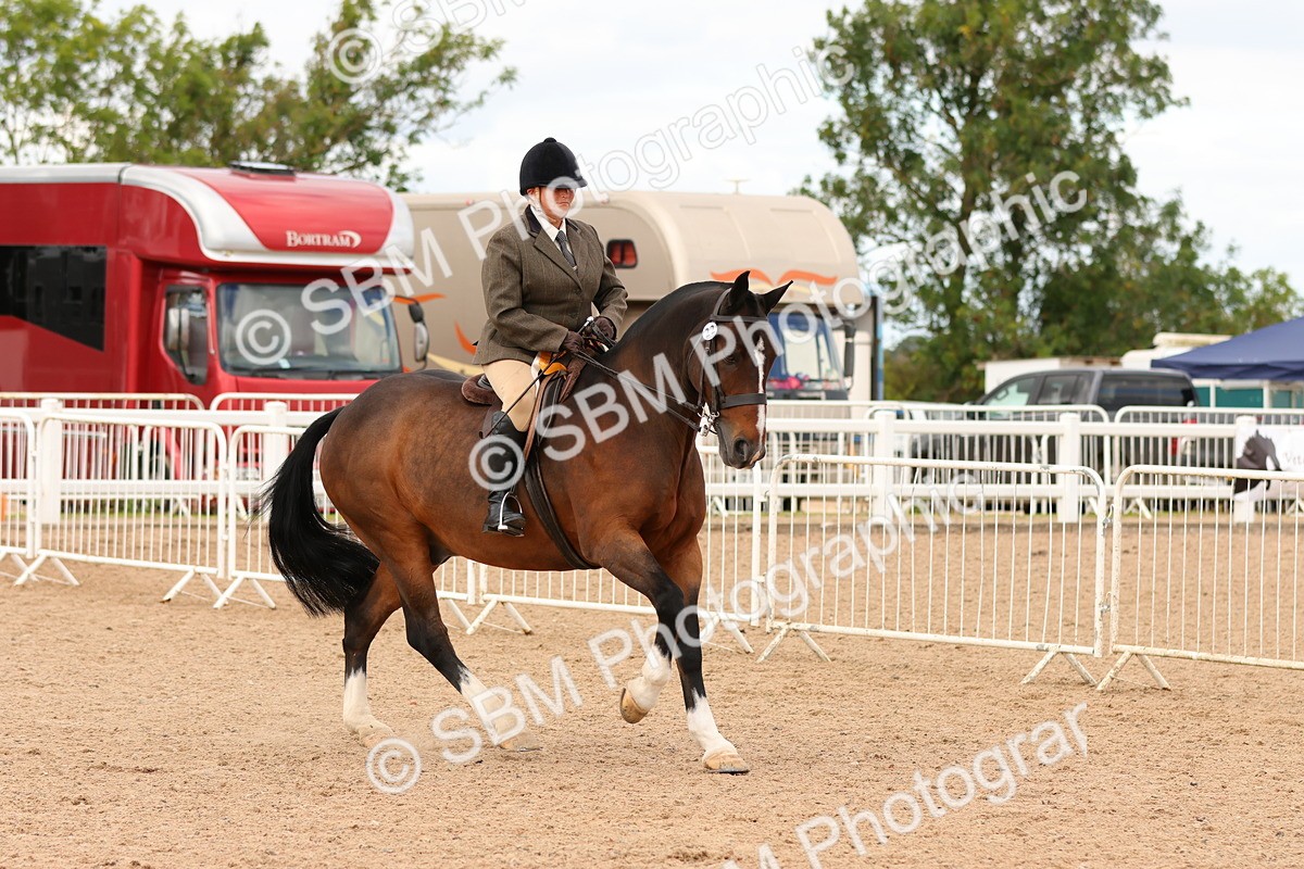 SBM_15625 - Class 214 - Ridden Show Cob