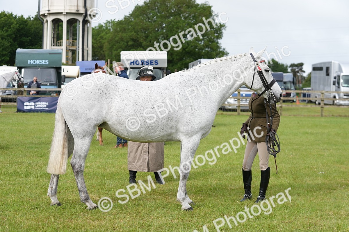 SBM_10618 - Class 97-98 - LIHS BSHA Rising Star Working Show Horse Hunter
