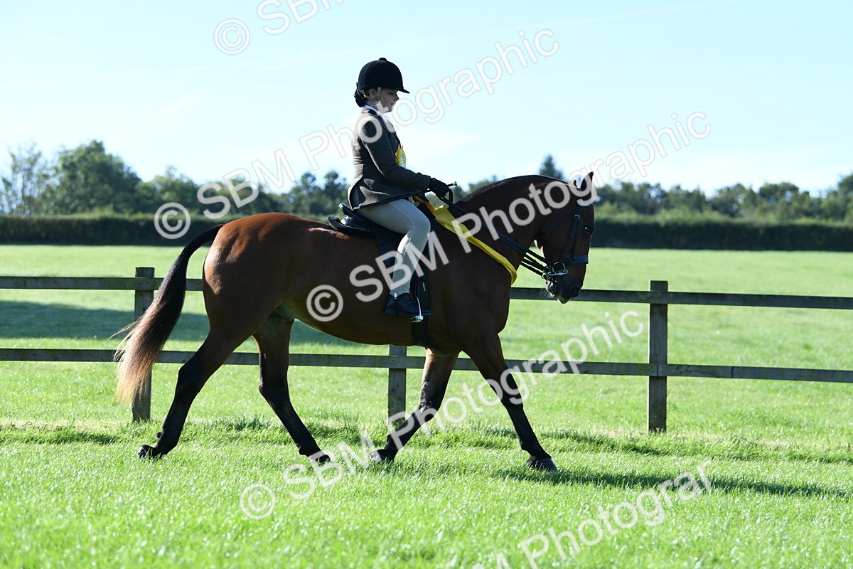 SBM_35566 - Top Turnout Supreme Championship