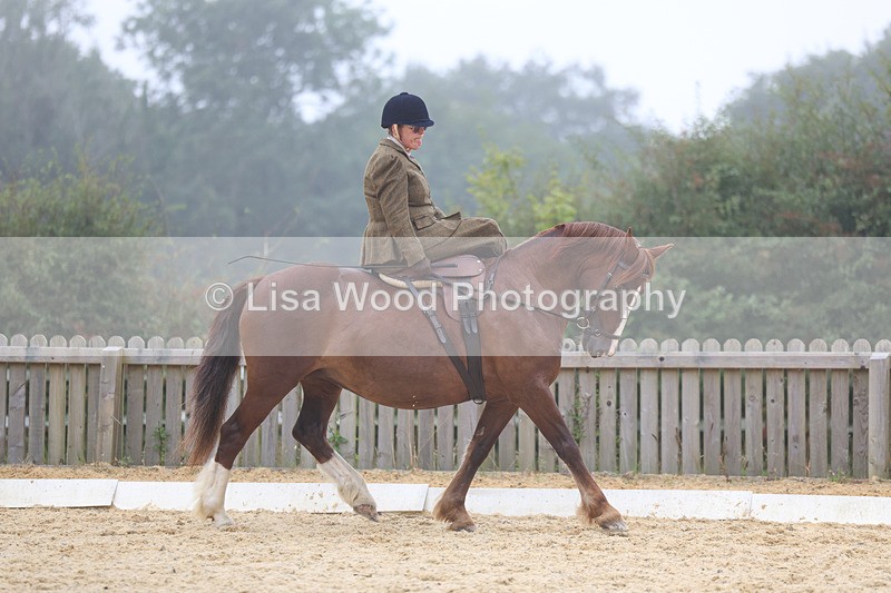 3E7A6871 - Class 5: Prelim to Music