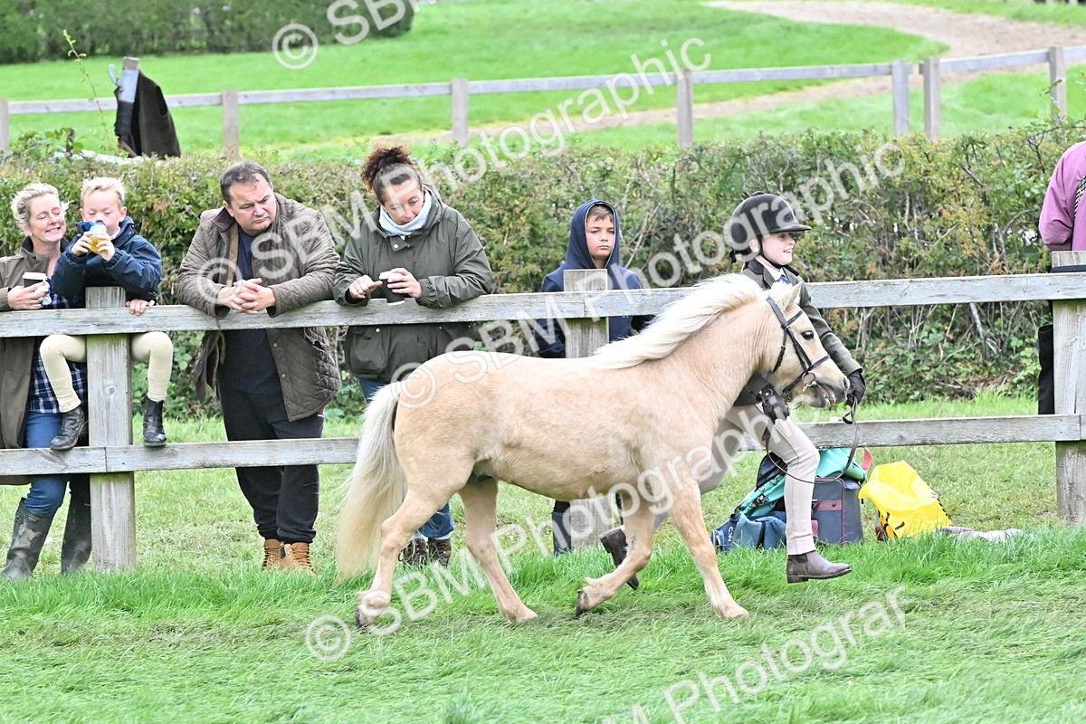 SBM_68581 - S42 - Junior Handler 9-12 Years