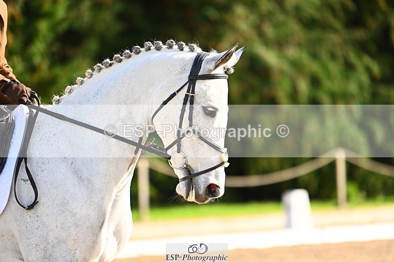 231021-144158-18772 - 254-WESTERN.OCALA-Charlotte.Keers-DR