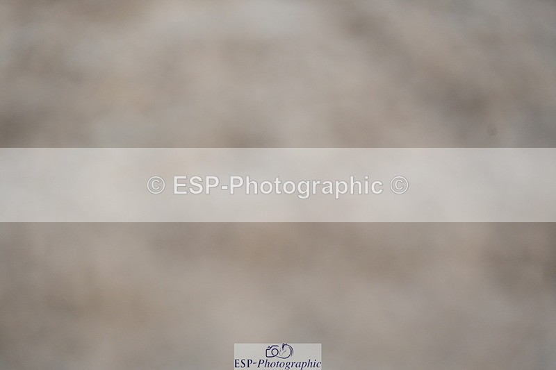 240323A-105855-01509 - DR Prelim 2