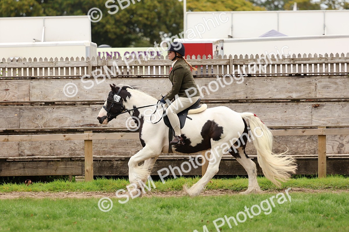 SBM_64633 - S58 - Coloured Pony Ridden