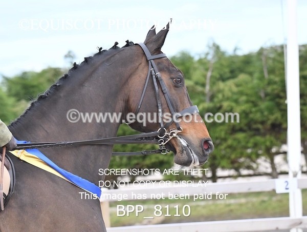 BPP_8110 - SUPREME CHAMPIONSHIP