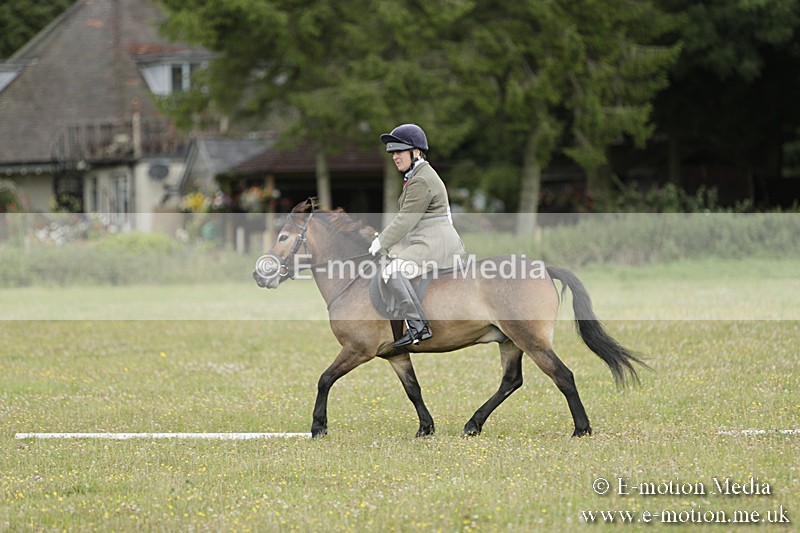 BVR160717-591 - Class 1 & 23a Dressage 16/07/17