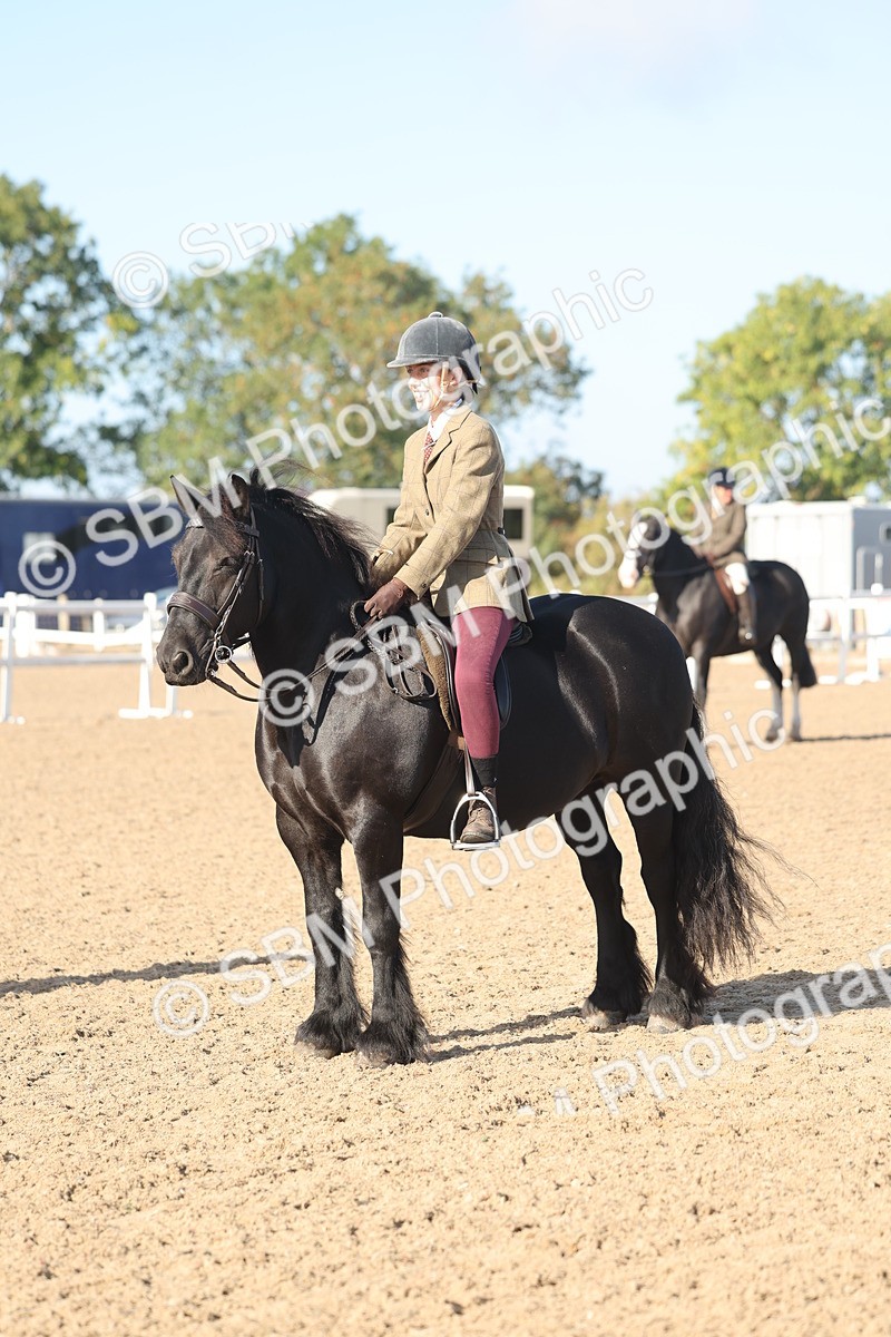 SBM_22160 - Class 802 - Ridden Groom Helpers Class