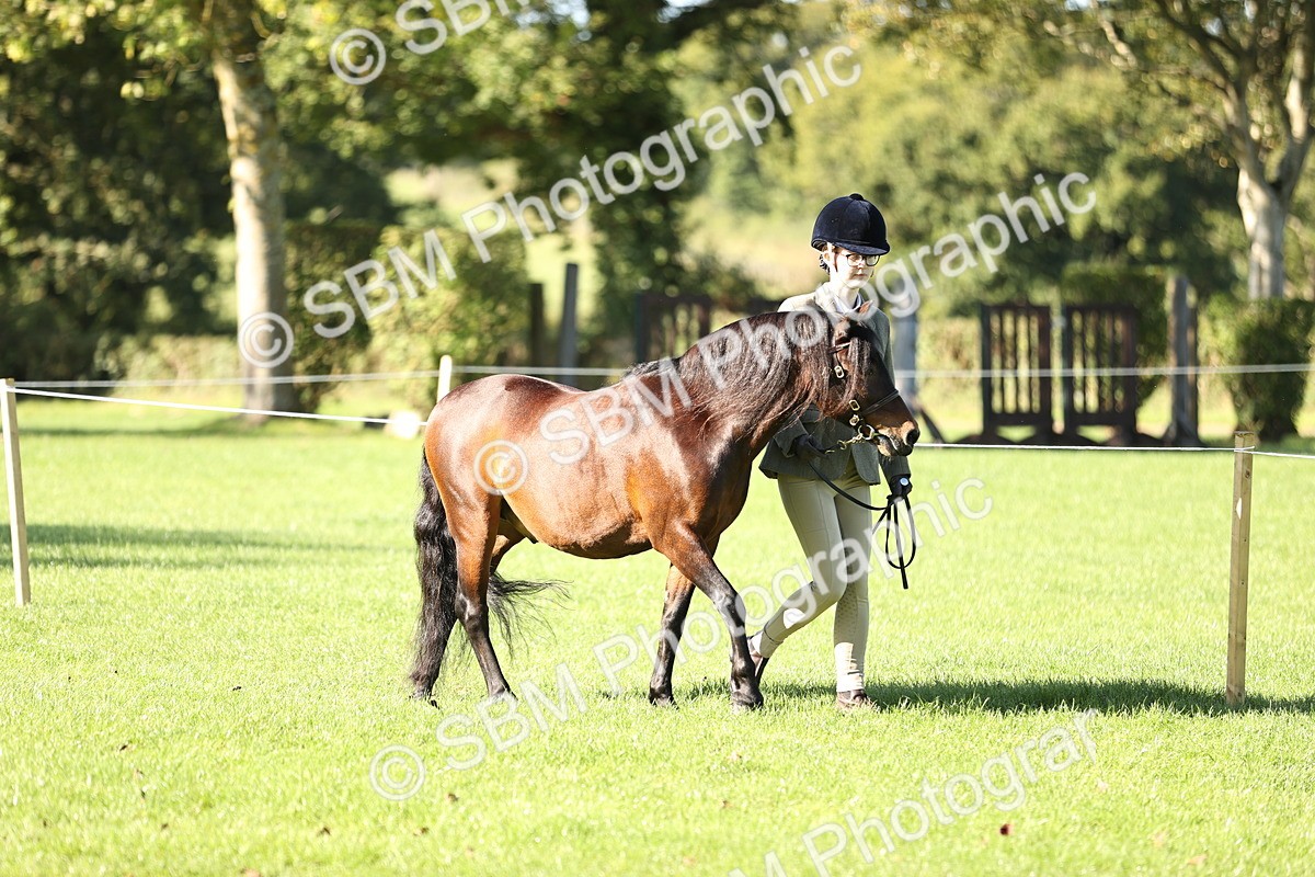 SBM_15849 - S1 - TSR in Hand Horse & Pony Showing