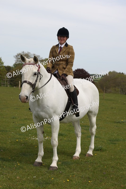 20260426-4397 - Class 34 - Best Riding Horse Over 14.2hh
