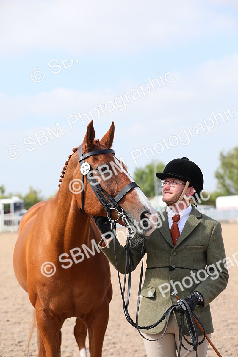 SBM_15759 - Class 312 IH Competition Horse/Pony