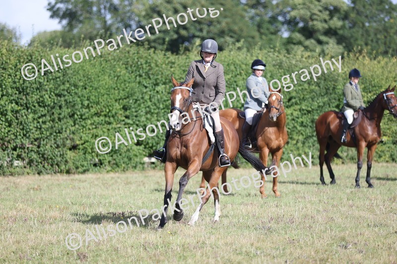 20250831-0921 - Class 14 - Ex Racehorse