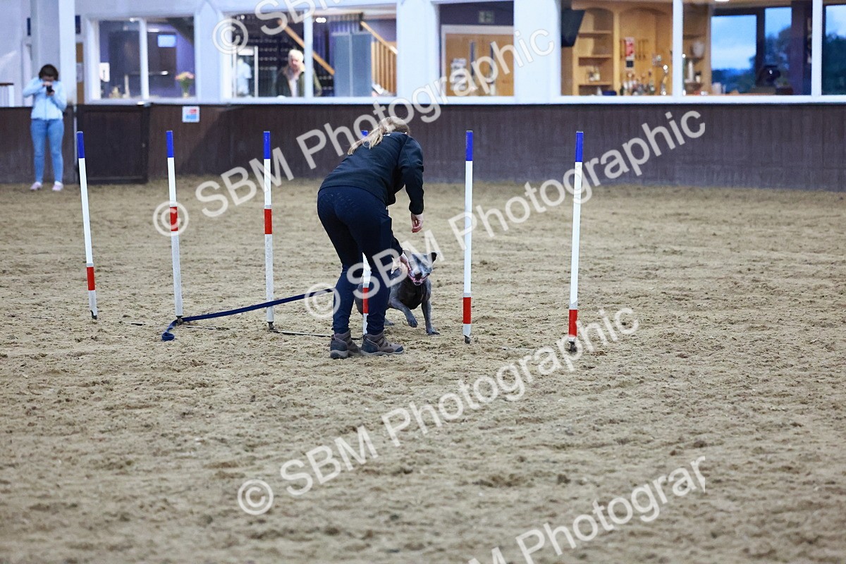 SBM_006003 - Evening Performance