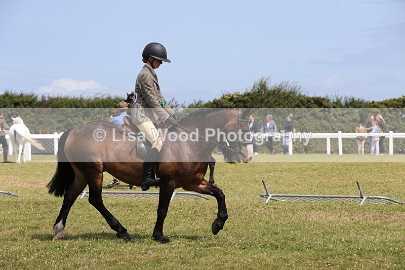 1X9A4133 - Class 32: Show Hunter Pony 153cm and under