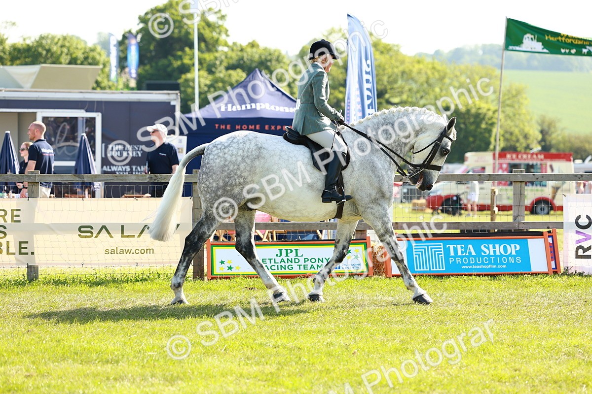 SBM_11891 - Class 66-69 - RIHS Ridden Hunters Inc Small Hunter